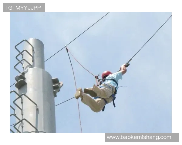 独家解析LNG团队协作模式的优势与挑战全面对比分析 独家解析LNG团队协作模式的优势与挑战全面对比分析