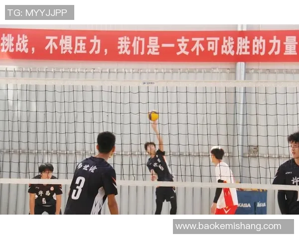 排球盛宴：深入解析上海排球队的默契与团队协作之道