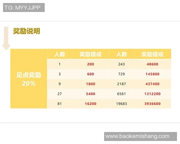 武汉网球队的成功之道：深度解析其运营模式与发展策略
